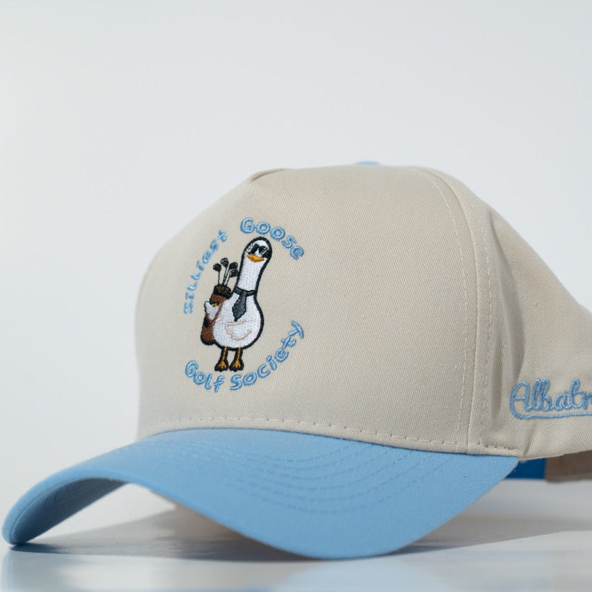 Silly Goose Hat